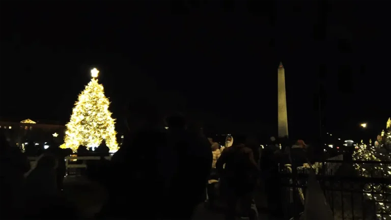 holiday light tour DC